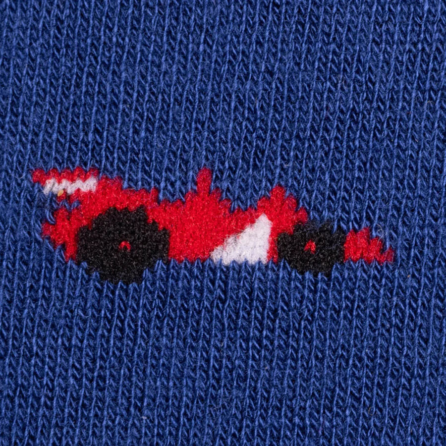 Swole Panda Racing Car Socks
